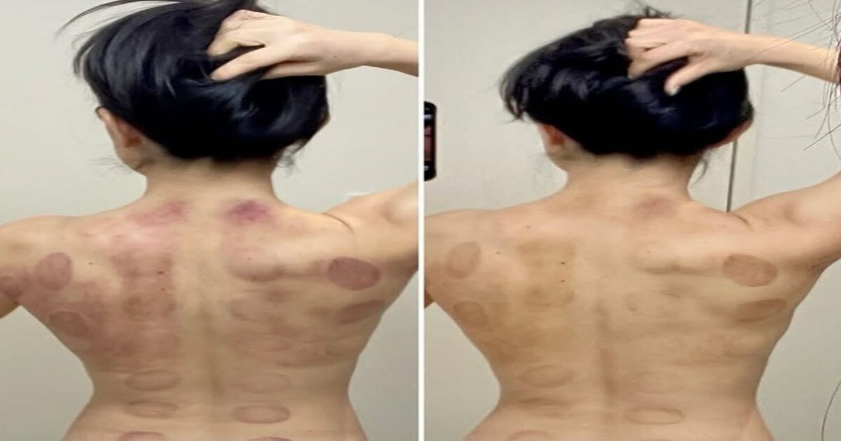 スクリーンショット 2025-11-14 114855